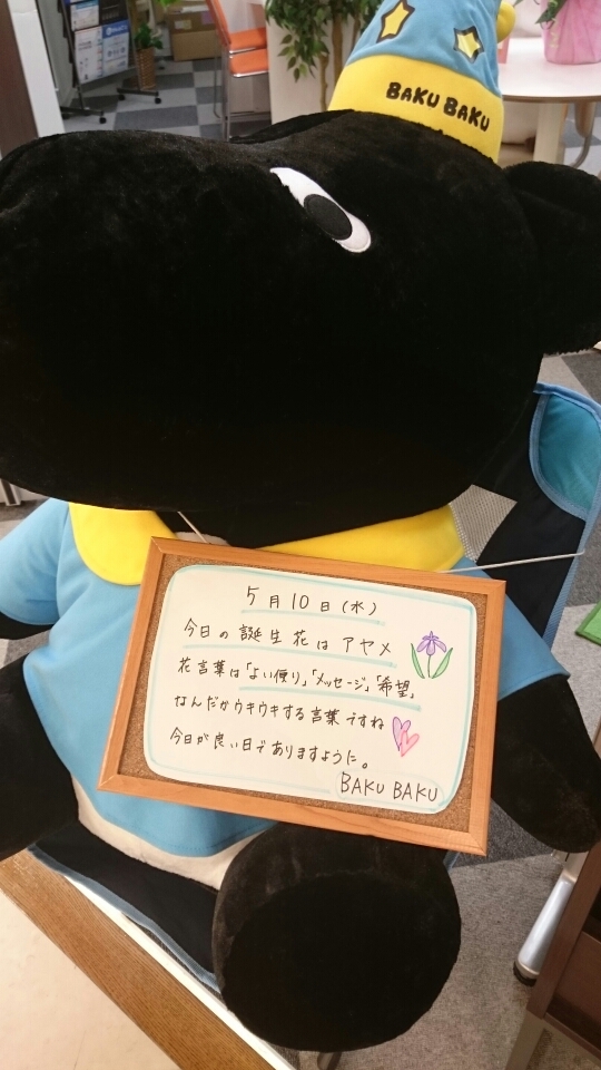 o0540096013933995387